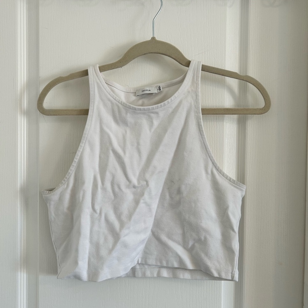 Talula (Aritzia) Crop Top